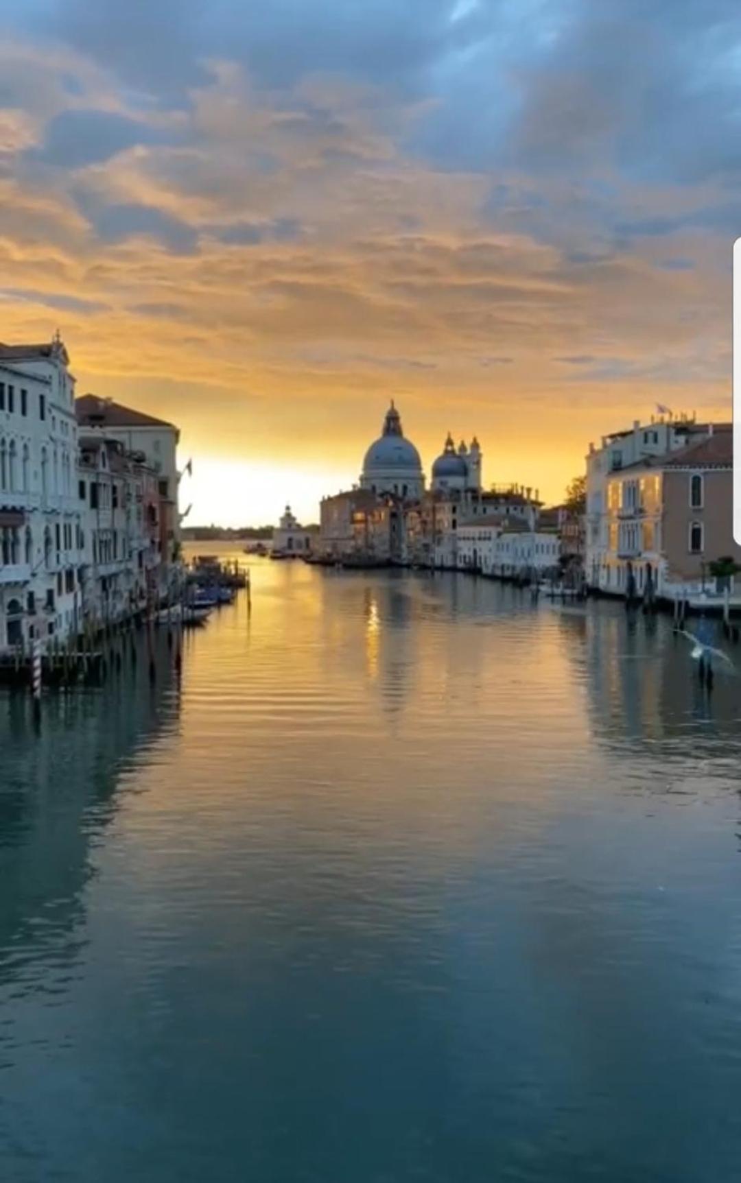 Gondola Show Venise Chambre photo